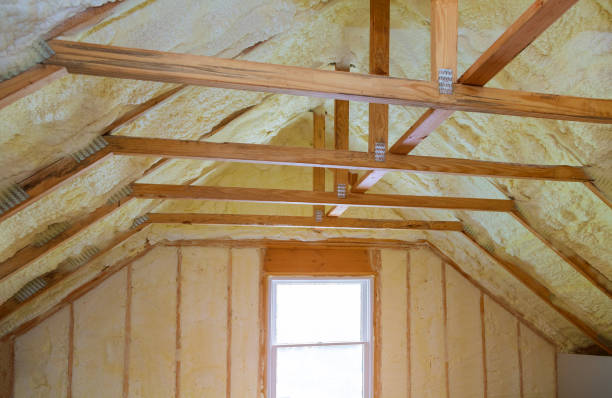 Best Residential Insulation in Sauk Vlage, IL