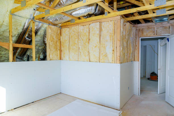 Best Insulation Maintenance and Repair in Sauk Vlage, IL