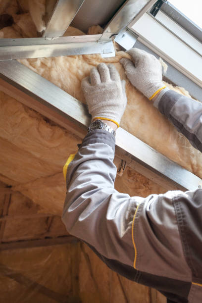 Best Insulation for Specific Applications in Sauk Vlage, IL