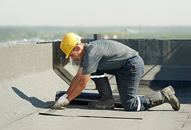 Best Specialized Insulation Services in Sauk Vlage, IL