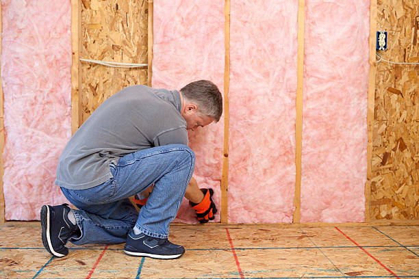Best Spray Foam Insulation in Sauk Vlage, IL