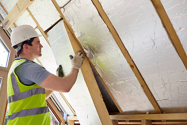 Best Energy Efficiency Insulation in Sauk Vlage, IL