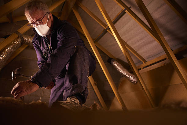 Best Cellulose Insulation in Sauk Vlage, IL
